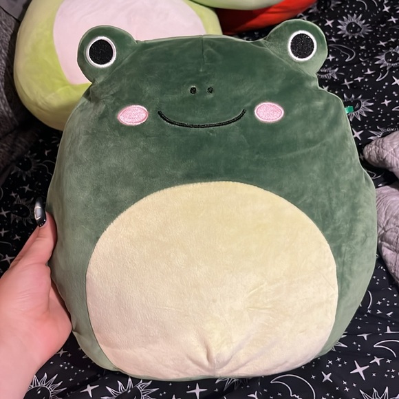 Large bundle squishmallow frogs. All missing tags except for one. - Picture 9 of 16